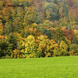 Herbstdünger für Nadelbäume - perfekte für Eibenhecken und Koniferen – HaGa-Welt