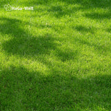 Rasendünger Herbst - für ein sattes Grün im Herbst – HaGa-Welt