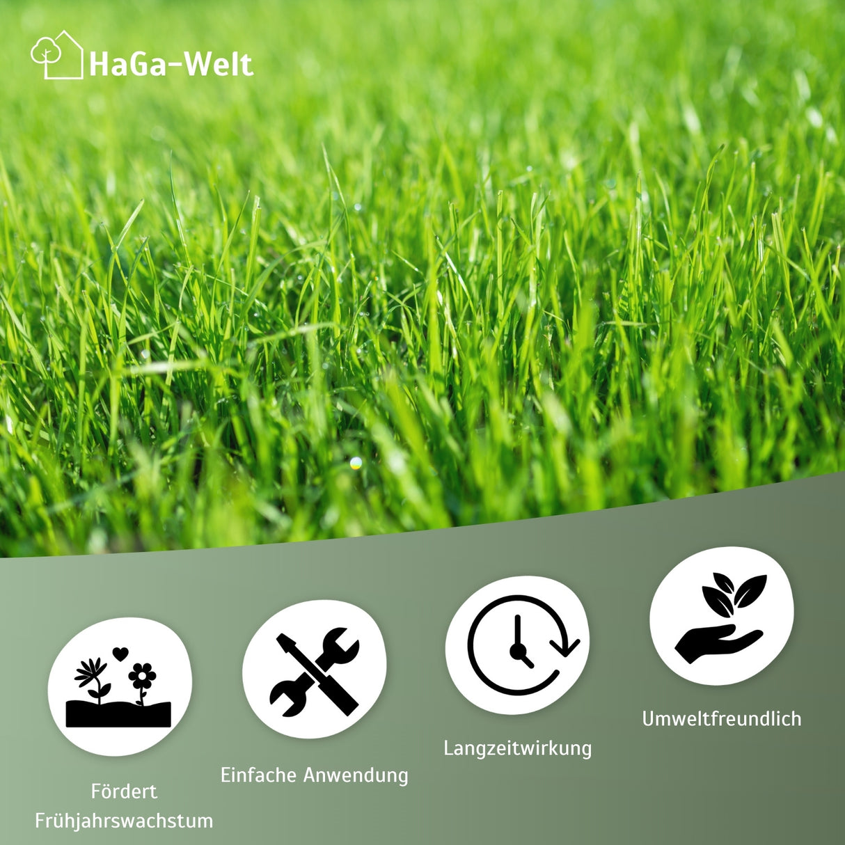 Rasendünger Herbst - für ein sattes Grün im Herbst – HaGa-Welt