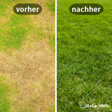 Rasendünger Herbst - für ein sattes Grün im Herbst – HaGa-Welt