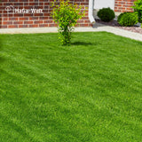 Rasendünger Herbst - für ein sattes Grün im Herbst – HaGa-Welt