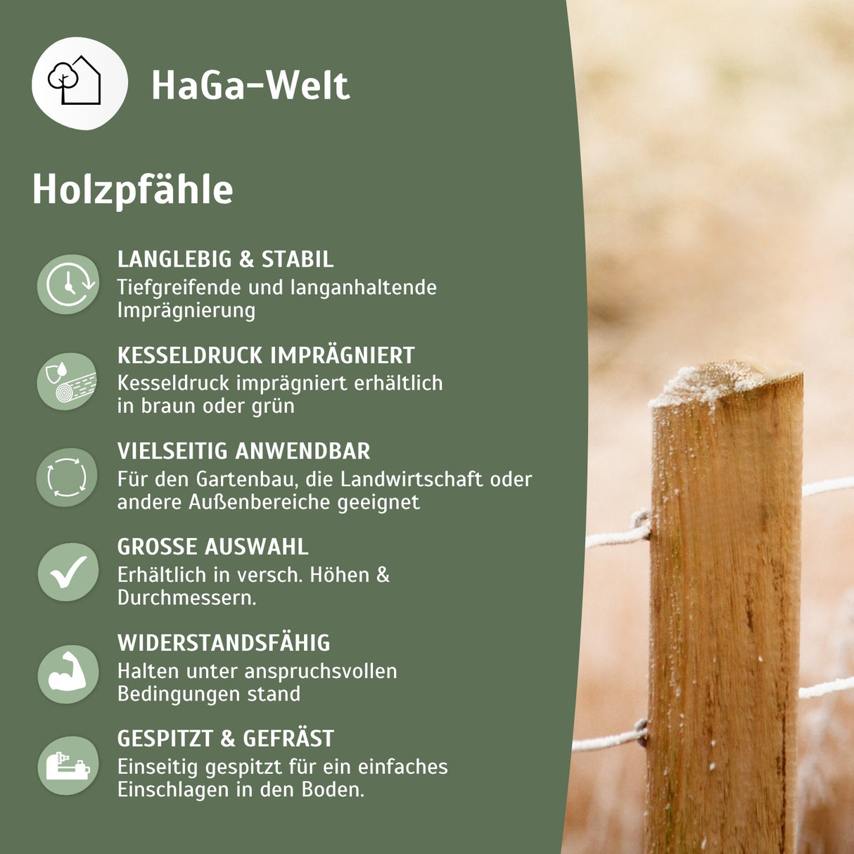 Holzpfahl, KDI grün – widerstandsfähig für den Zaun- und Gartenbau – HaGa-Welt