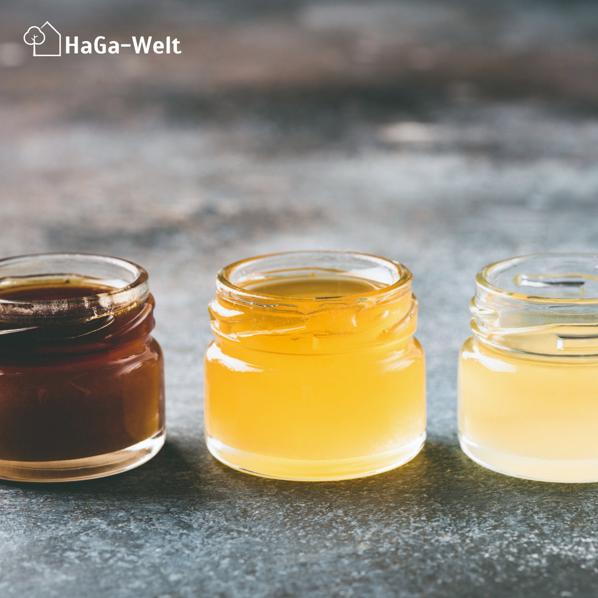 Mini Honiggläser - kleine Gläser mit Deckel, leicht zu befüllen, luftdicht verschlossen – HaGa-Welt