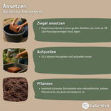 Kokoserde Cannabiserde gepresste Blumenerde Naturprodukt – HaGa-Welt