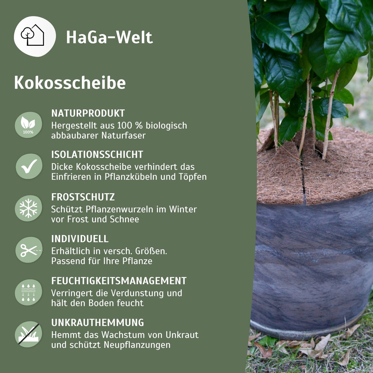 Kokosscheibe Kübelabdeckung Winterschutz für Topfpflanzen versch. Größen – HaGa-Welt