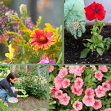 Langzeit Blumendünger - Mineraldünger für Blumen und Pflanzen – HaGa-Welt