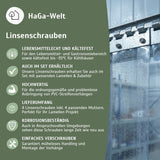 4 Stück Linsenschrauben + Mutter M5 x 12mm für PVC-Lamellenvorhang – HaGa-Welt