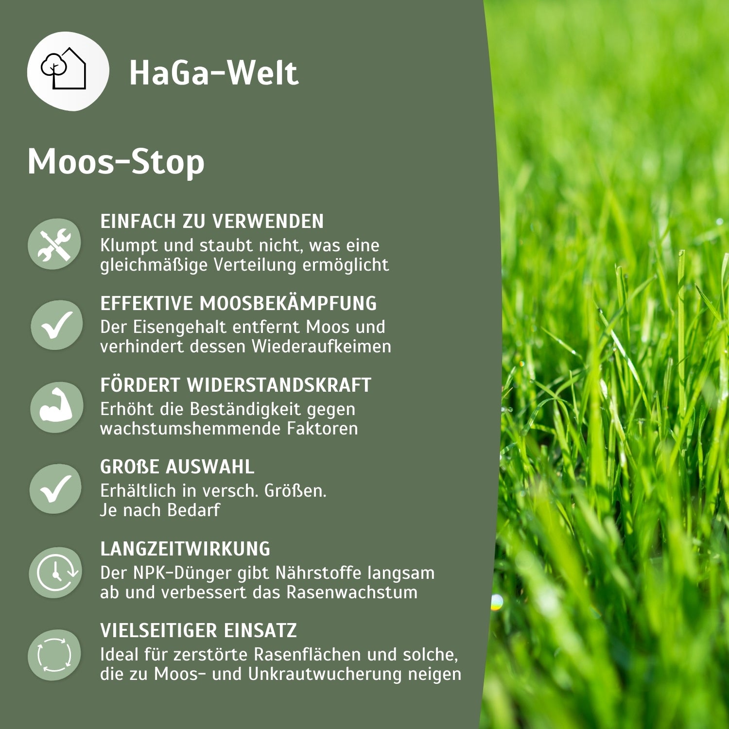 Rasendünger Moos-Stop gegen Unkraut und Moos