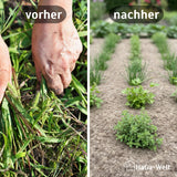 Mulchvlies aus Schafwolle – aus 100 % Schafwolle, biologisch abbaubar