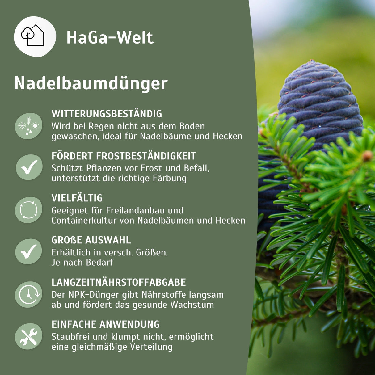 Mineralünger für Nadelbäume - perfekt für Koniferen und Eibenhecken – HaGa-Welt