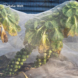 HaGa® Premium Insekten- und Vogelschutznetz Meterware , weiß in 200cm Breite – HaGa-Welt