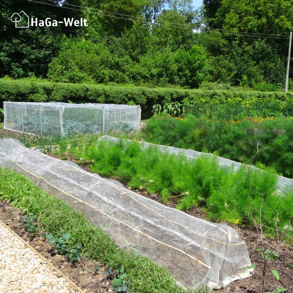 HaGa® Premium Insekten- und Vogelschutznetz Meterware , weiß in 200cm Breite – HaGa-Welt