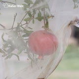 HaGa® Premium Insekten- und Vogelschutznetz Meterware , weiß in 200cm Breite – HaGa-Welt