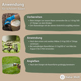 Rasendünger für widerstandfähigen Rasen – HaGa-Welt