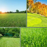 Rasendünger Herbst - für ein sattes Grün im Herbst – HaGa-Welt