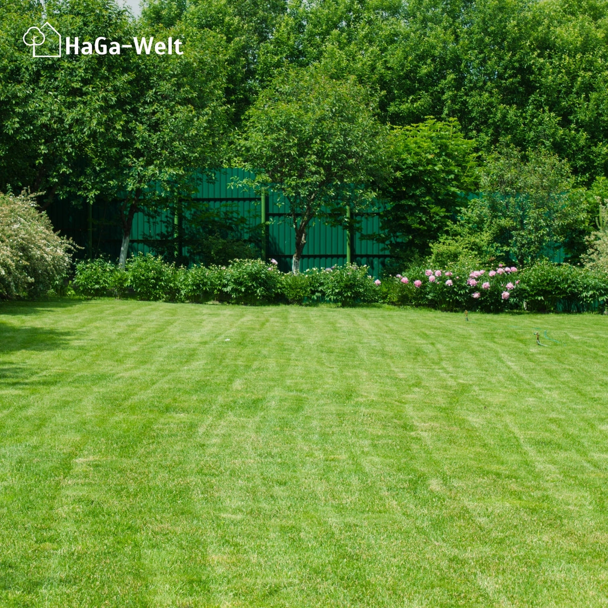 RASENMATTE in versch. Breite Rasenvlies Hangbefestigung Gartenrasen