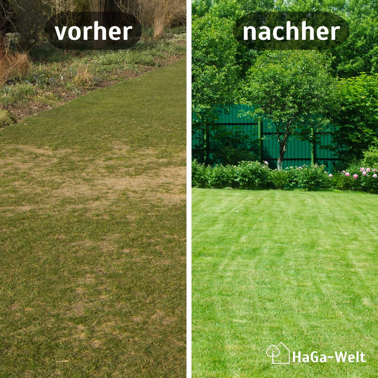 RASENMATTE in versch. Breite Rasenvlies Hangbefestigung Gartenrasen