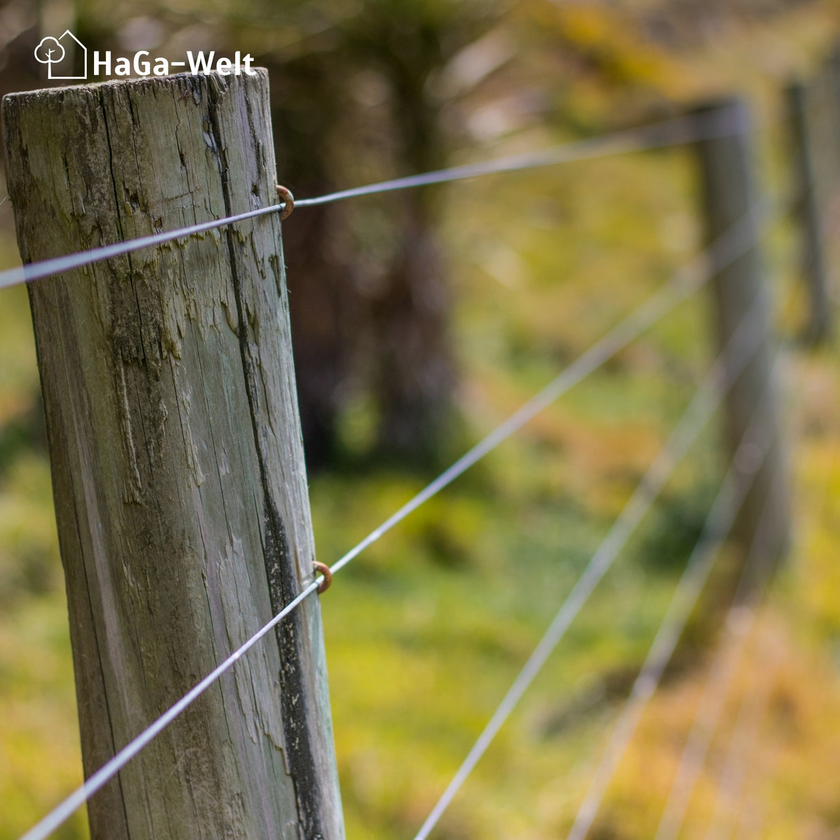 Spanndraht 3mm Gartendraht für Maschendrahtzaun – HaGa-Welt