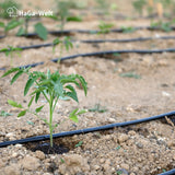 Tropfschlauch ohne Druckkompensation schwarz 16mm – HaGa-Welt