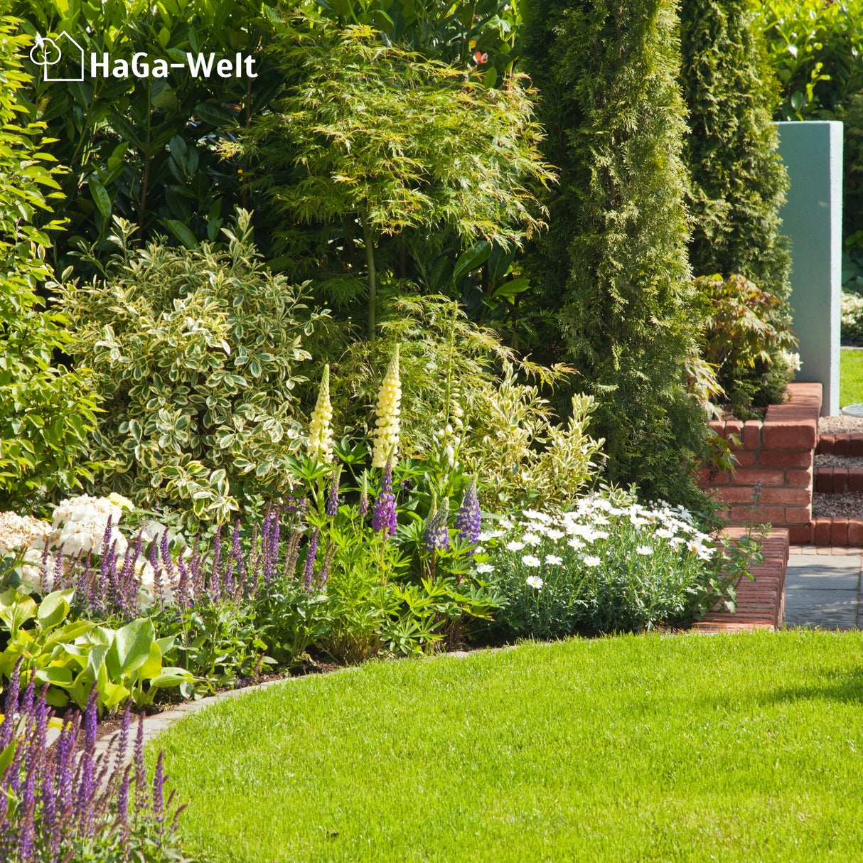 Universaldünger - Der Alleskönner unter den Düngern – HaGa-Welt