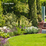 Universaldünger - Der Alleskönner unter den Düngern – HaGa-Welt