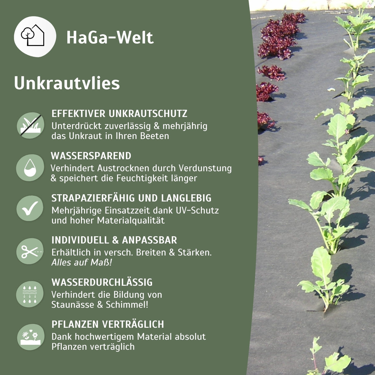 Unkrautvlies 50 g/m² – Unkrautschutz für Ihr Gemüsebeet – HaGa-Welt