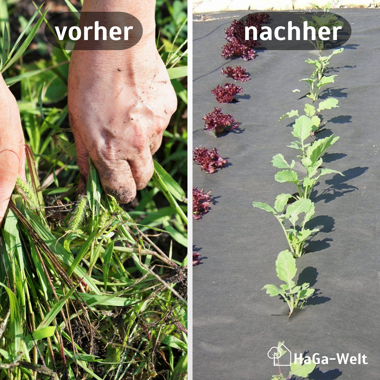 Unkrautvlies-Starter-Set: Startklar für den Unkrautschutz in verschiedenen Größen und Stärken – HaGa-Welt