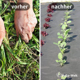 Unkrautvlies-Starter-Set: Startklar für den Unkrautschutz in verschiedenen Größen und Stärken – HaGa-Welt