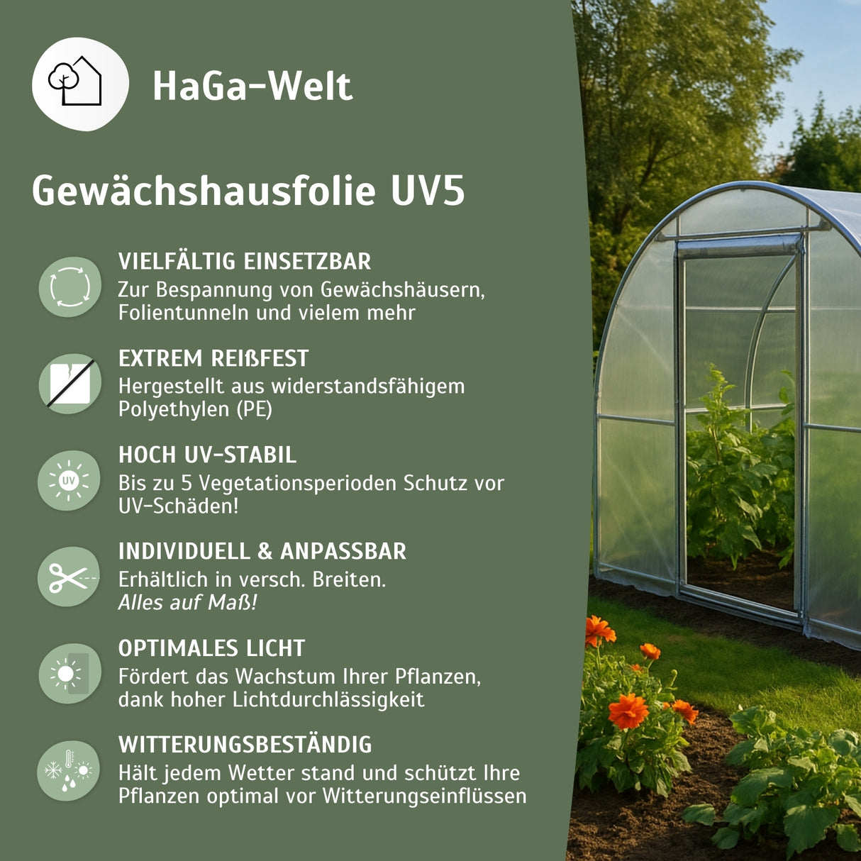 Gewächshausfolie UV5 – die langlebige Folie für Ihr Gewächshaus – HaGa-Welt