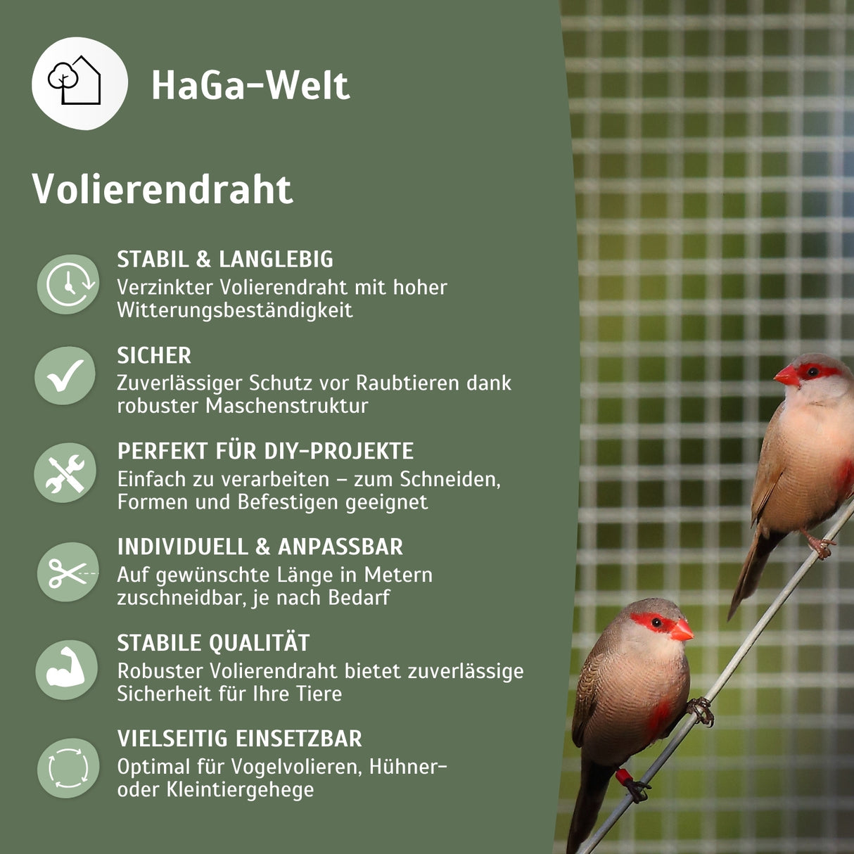 Volierendraht – Stabiler Draht für Ihre Voliere – HaGa-Welt