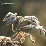 Winterschutz-Starter-Set: Idealer Kälte- und Frostschutz in verschiedenen Größen und Stärken