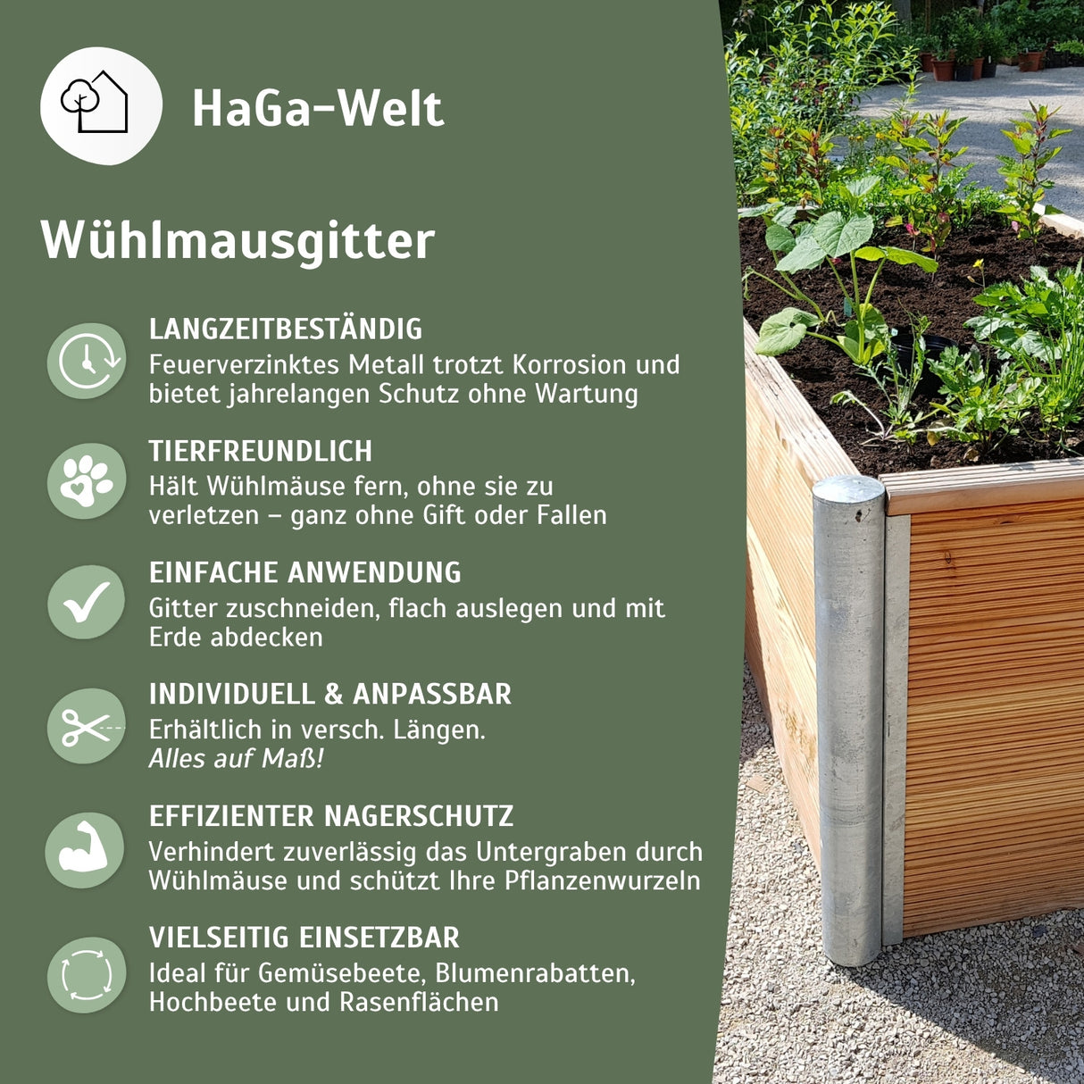 Wühlmausgitter - der effektive Weg Wühlmäuse zu vertreiben – HaGa-Welt