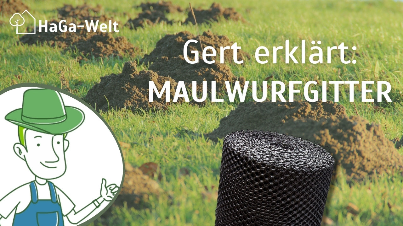 HaGa-Welt Gert erklärt Maulwurfsperre, Maulwurfschutz, Maulwurfsperre und Maulwurf vertreiben mit dem Maulwurfgitter oder Maulwurfnetz