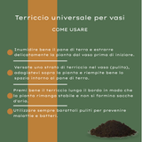 Universelle Blumenerde 30 Liter – Für Zimmer- und Gartenpflanzen – HaGa-Welt
