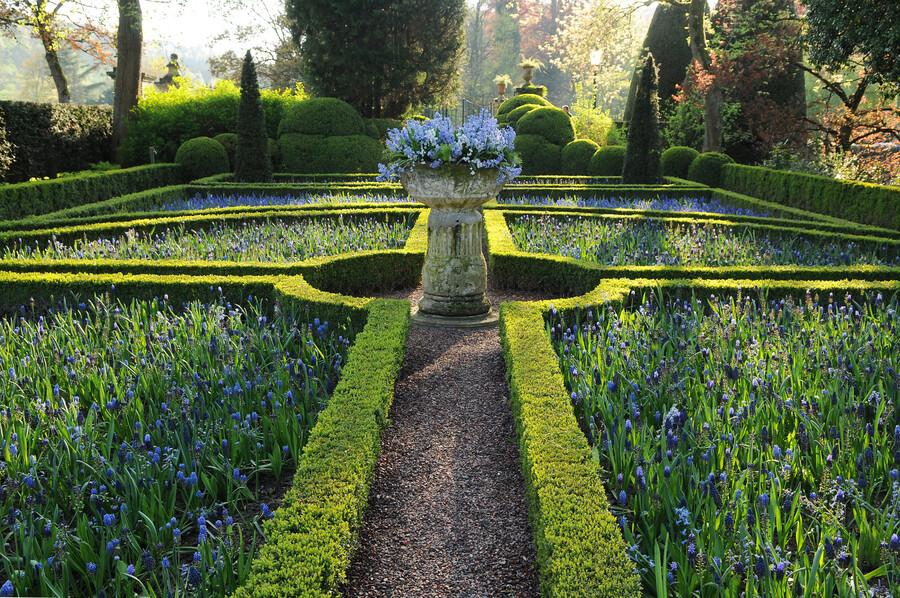 24x Buxus Sempervirens - ↕10-25cm - Ø9cm – HaGa-Welt