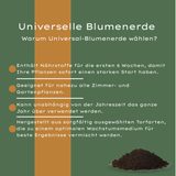 Universelle Blumenerde 30 Liter – Für Zimmer- und Gartenpflanzen – HaGa-Welt
