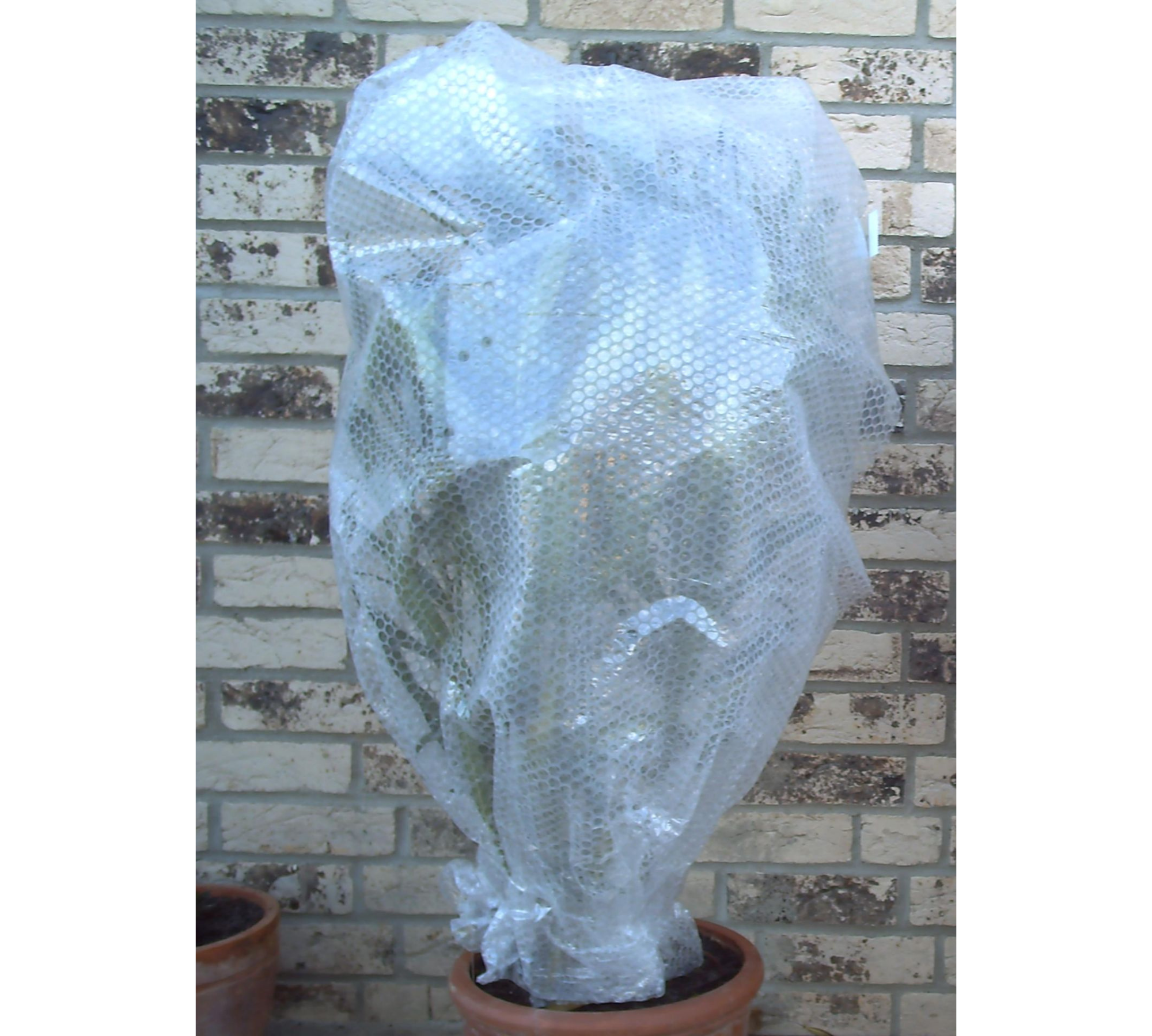 Thermo-Luftpolsterfolie – Alubeschichtet, 0,6 m x 12,5 m, Vielseitiger Pflanzenschutz